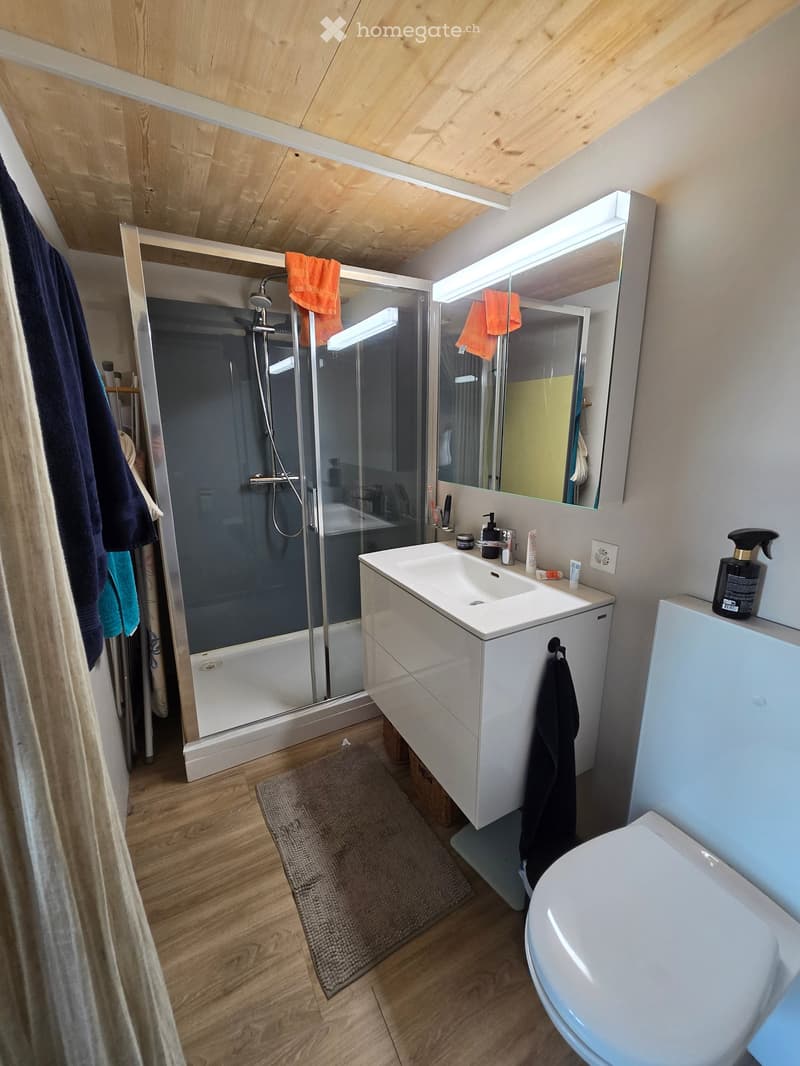 Modern bathroom with wooden ceiling, white sink, mirror, toilet, and glass-enclosed shower. Includes towels, a bathrobe, and a bathroom rug.
