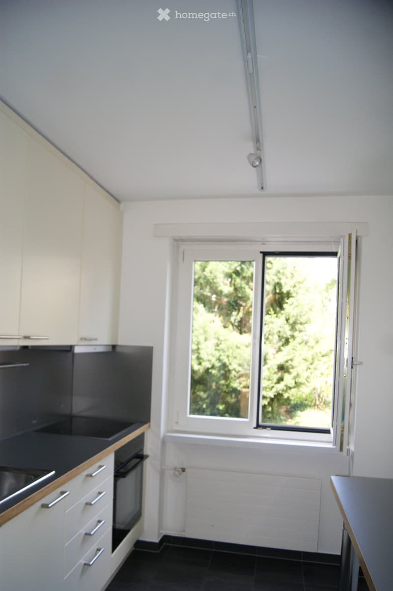 Modern kitchen with white cabinets, black countertop, and a window overlooking greenery.