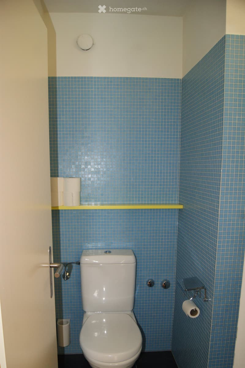 A small bathroom with blue tiled walls, a white toilet, and a shelf holding toilet paper rolls.