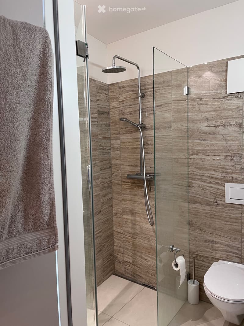Modern bathroom with marble tiles, glass-enclosed shower, and a white toilet.