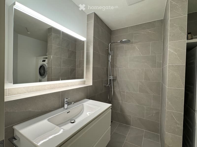 Modern bathroom with a large mirror, built-in sink, and a separate shower area. Features a private washing machine in the background.