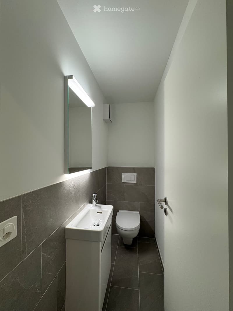 Modern, compact bathroom with a white sink, chrome faucet, and toilet, featuring dark tiled walls and a sleek, minimalist design.