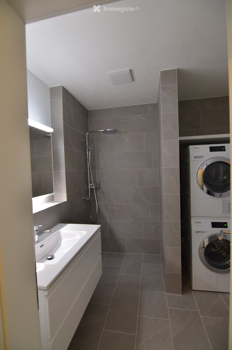 Modern bathroom with a white sink, shower, and a private washing machine. Grey tiled walls and floor.