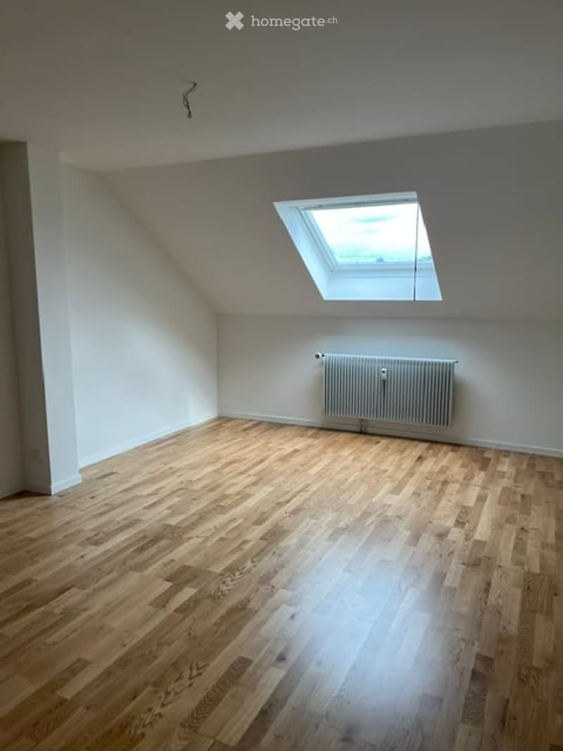 Empty attic room with wooden flooring, white walls, and a skylight window. A radiator is mounted on one wall.