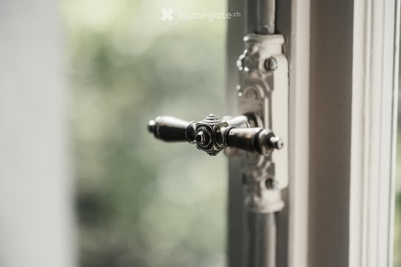 Close-up of an ornate metal window handle with a decorative design, attached to a window frame.