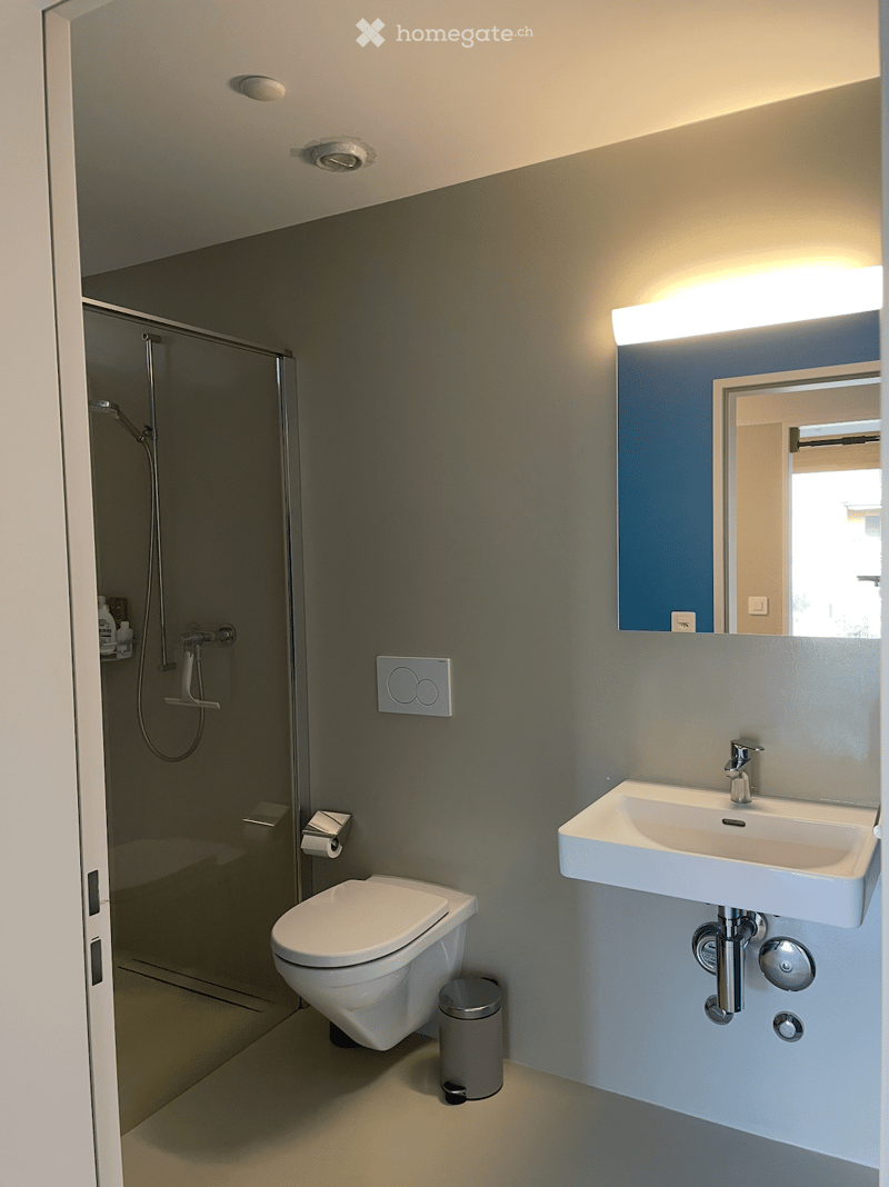 Modern bathroom with a toilet, sink, shower, and mirror. Features include a sleek design with grey walls, a white sink, and a glass shower enclosure.