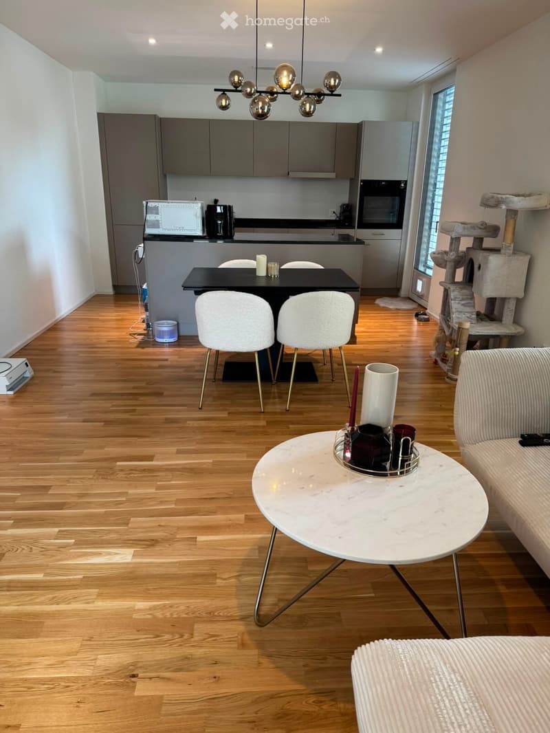 Open-plan living and dining area with wooden flooring, modern kitchen, sofa, coffee table, dining table, and cat tree.