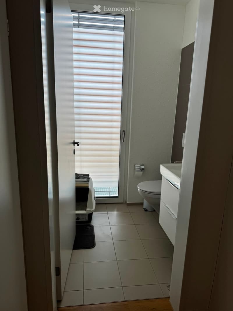 Modern bathroom with white tiled floor, toilet, sink, toilet paper holder, and a cat litter box visible through an open door.