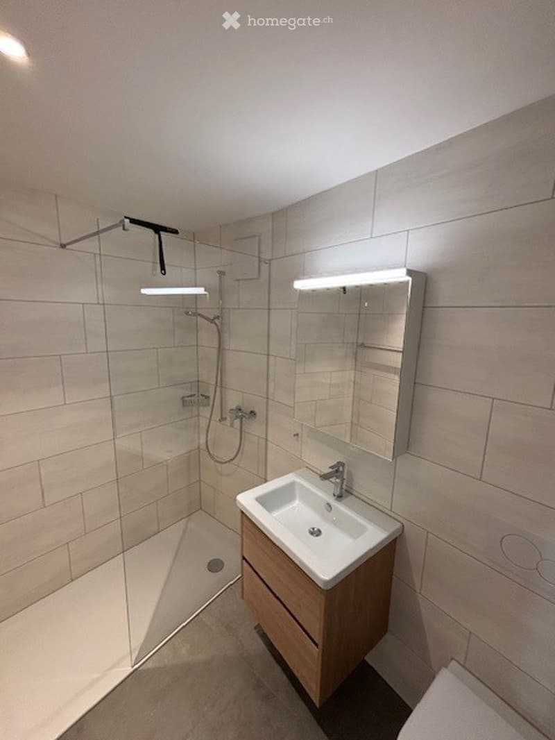 Modern bathroom with a white sink, wooden cabinet, large mirror, and a glass-enclosed shower area.