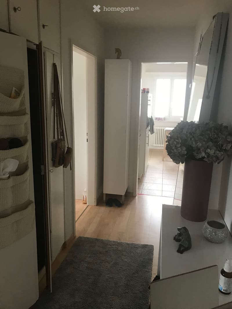 A well-lit hallway with wooden flooring, a gray rug, and several doors leading to different rooms. A woven wall organizer holds bags and shoes, and a small table displays decorative items including a vase with dried flowers, a small dog figurine, and a bo