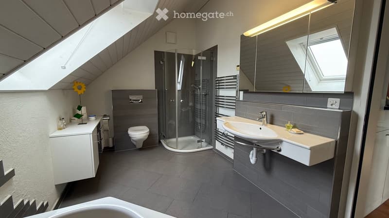Modern bathroom with grey tiles, white sink, toilet, glass-enclosed shower, and a large mirror above the sink.