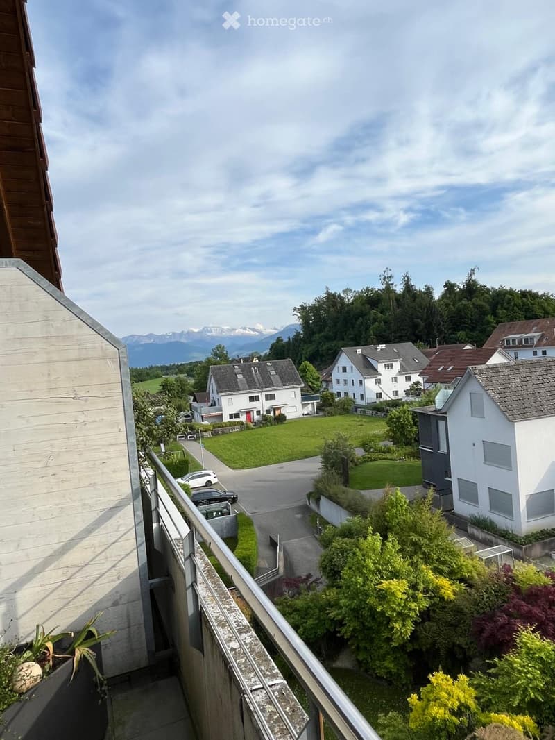 Balcony overlooking a residential area with houses, green lawns, and distant mountains under a partly cloudy sky.