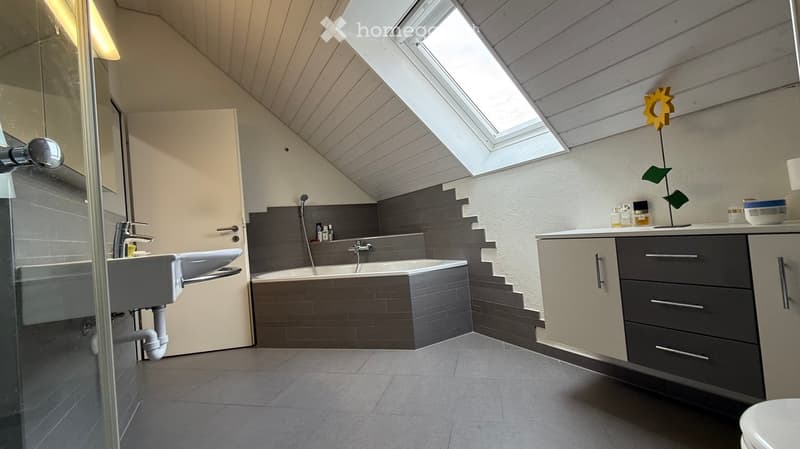 Modern bathroom with a sleek sink, bathtub, and built-in cabinets. Features a skylight window, a glass shower enclosure, and decorative items on the counter.