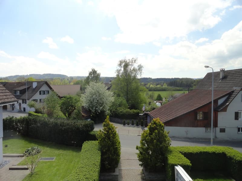 Residential neighborhood with multiple houses, well-maintained lawns, trees, and a clear sky.