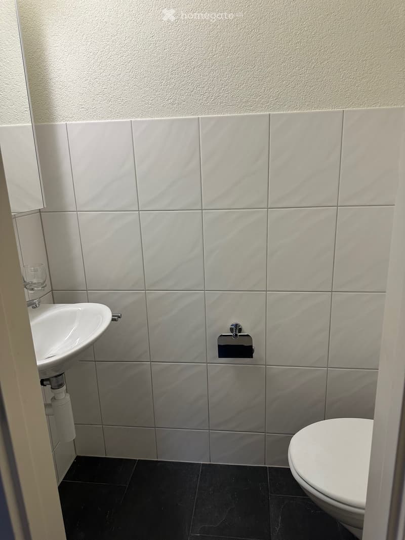 Modern bathroom with white tiled walls, black tiled floor, white sink, toilet, and mirror.