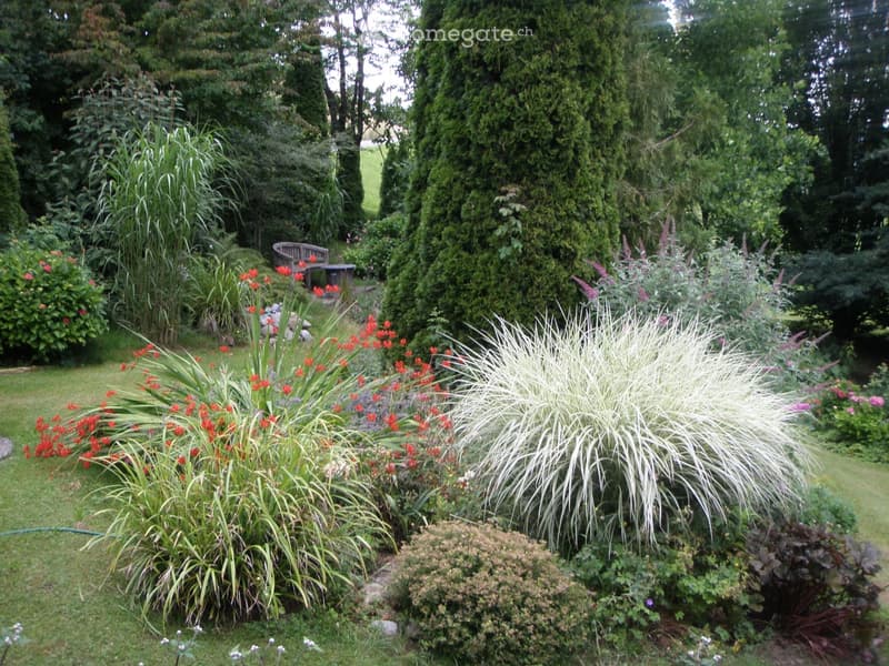 Well-maintained garden with various plants, flowers, shrubs, and a wooden bench in the background.