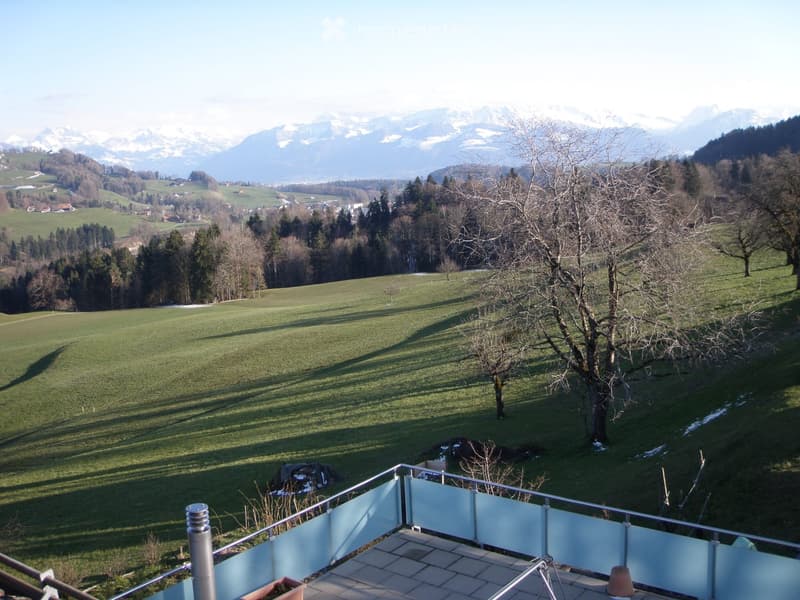 Balcony overlooking a green field with trees and distant snow-capped mountains.
