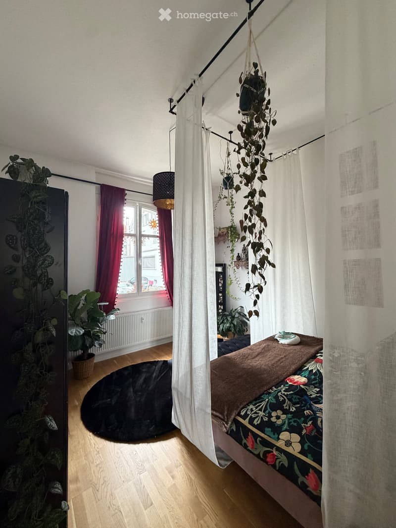 Cozy bedroom with wooden flooring, a bed with a floral duvet, a hanging plant, a round black rug, and a large window with red curtains.