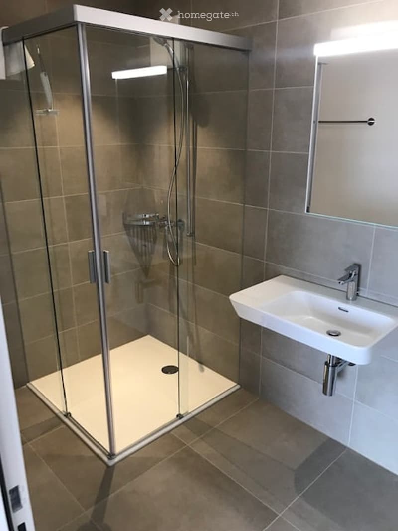 Modern bathroom with a glass-enclosed shower stall, a white sink with a chrome faucet, and a mirror above the sink. The walls are tiled in a neutral color, and the floor is covered with matching tiles.