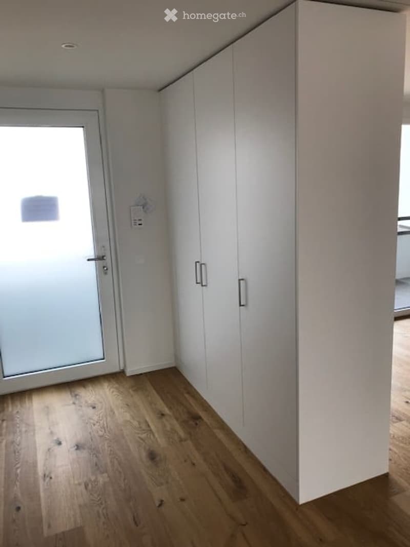 Empty room with wooden flooring, white walls, and built-in white closet with silver handles. A frosted glass door is visible on the left side.