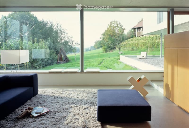 Modern living room with large windows overlooking a green landscape, featuring a dark blue sofa, a matching coffee table, a floor lamp, and a plush rug.