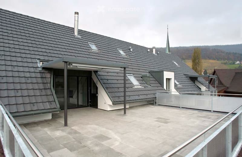 Modern building with a sloped grey roof, multiple skylights, and a covered entrance leading to a paved terrace with a glass railing.