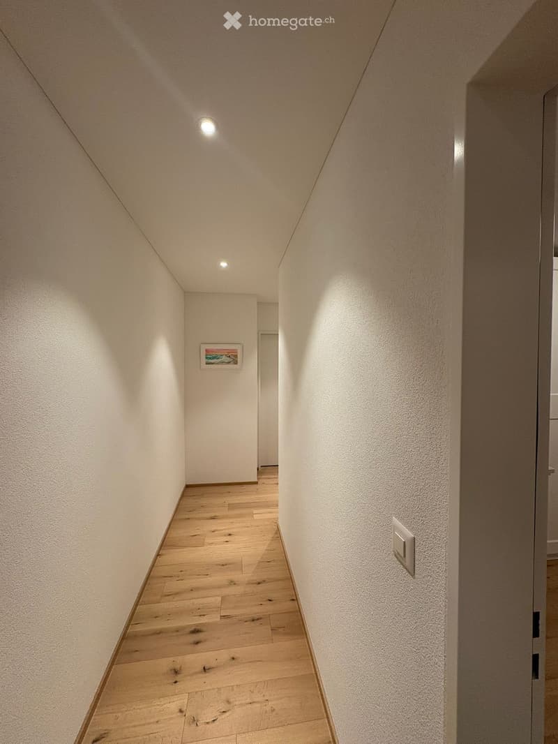 A narrow hallway with light wooden flooring, white walls, and recessed ceiling lighting. A small framed picture hangs on one wall, and a door is visible at the end of the corridor.