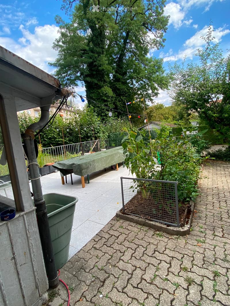 Garden area with a covered table, potted plants, a metal fence, and a paved pathway.