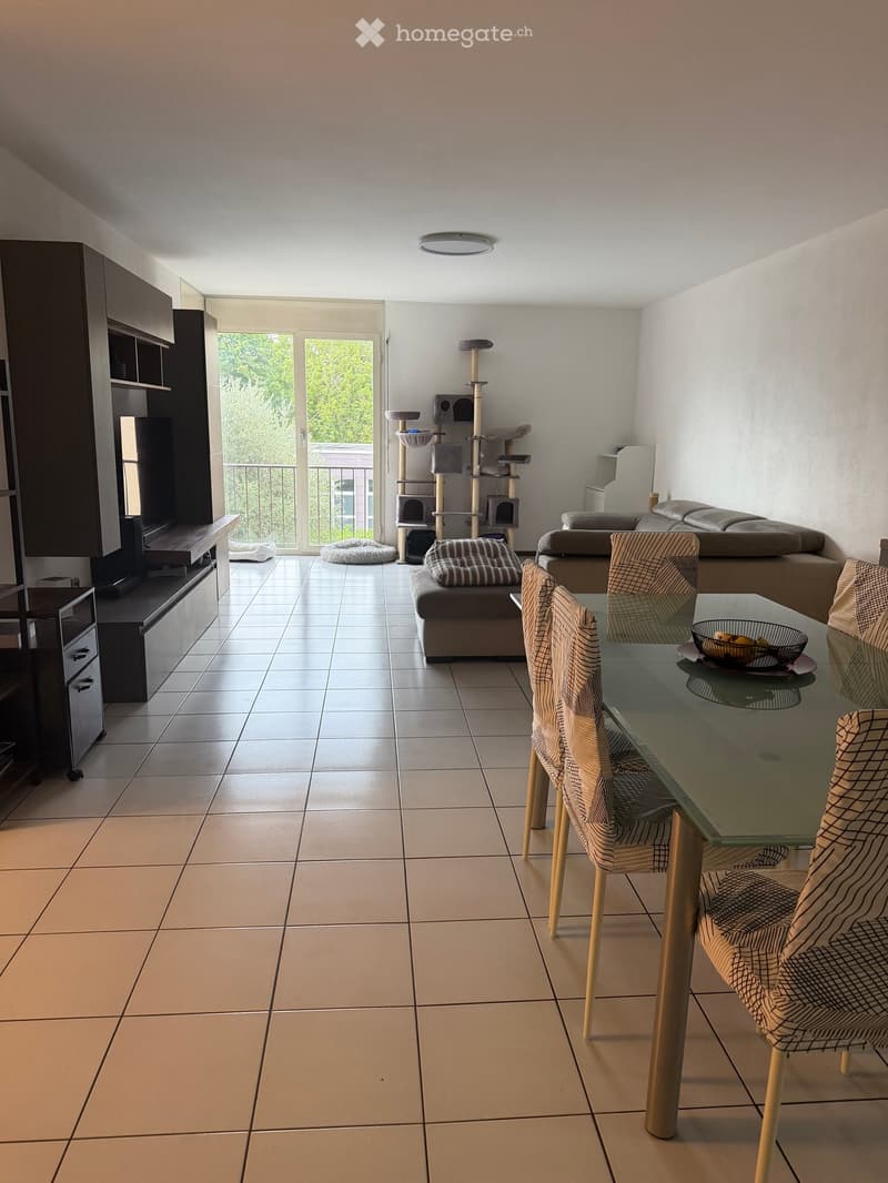 Modern living and dining area with tiled floor, large sliding glass door leading to balcony, sofa, cat tree, dining table with chairs, and decorative bowl.