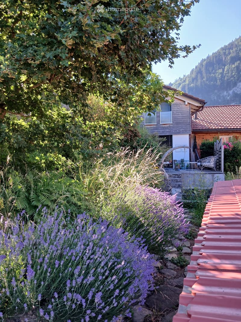 A serene garden area with lavender plants, a wooden house, and a stone pathway leading to a patio with outdoor furniture.