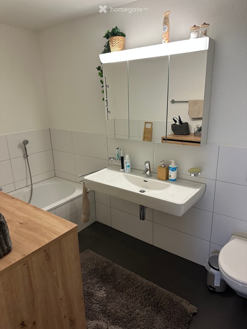Modern bathroom with a double sink, mirror with built-in lighting, bathtub, toilet, and various toiletries. Includes a wooden shelf with decorative items and a small plant.