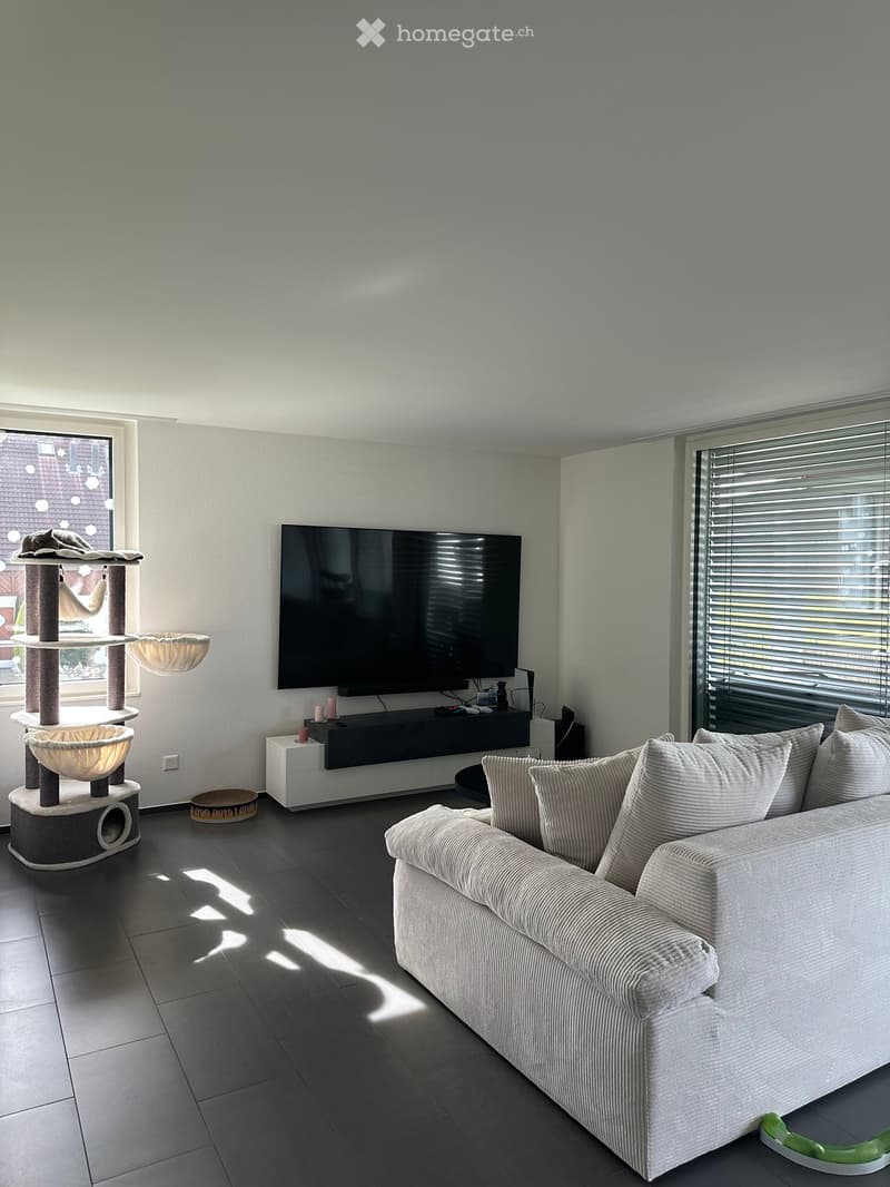 Modern living room with a grey sofa, cat tree, cat bowl, cat bed, television, and a small table with cups.