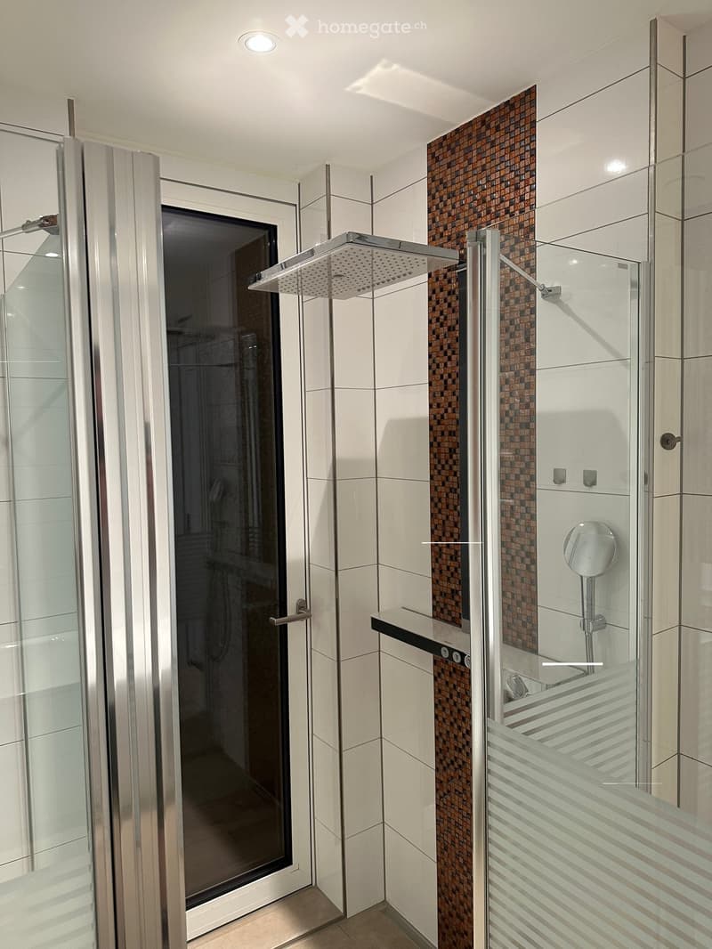 Moderne 2.5-Zimmer-Wohnung mit Balkon und Sauna an ruhiger Lage in Zürich 8044 (9)