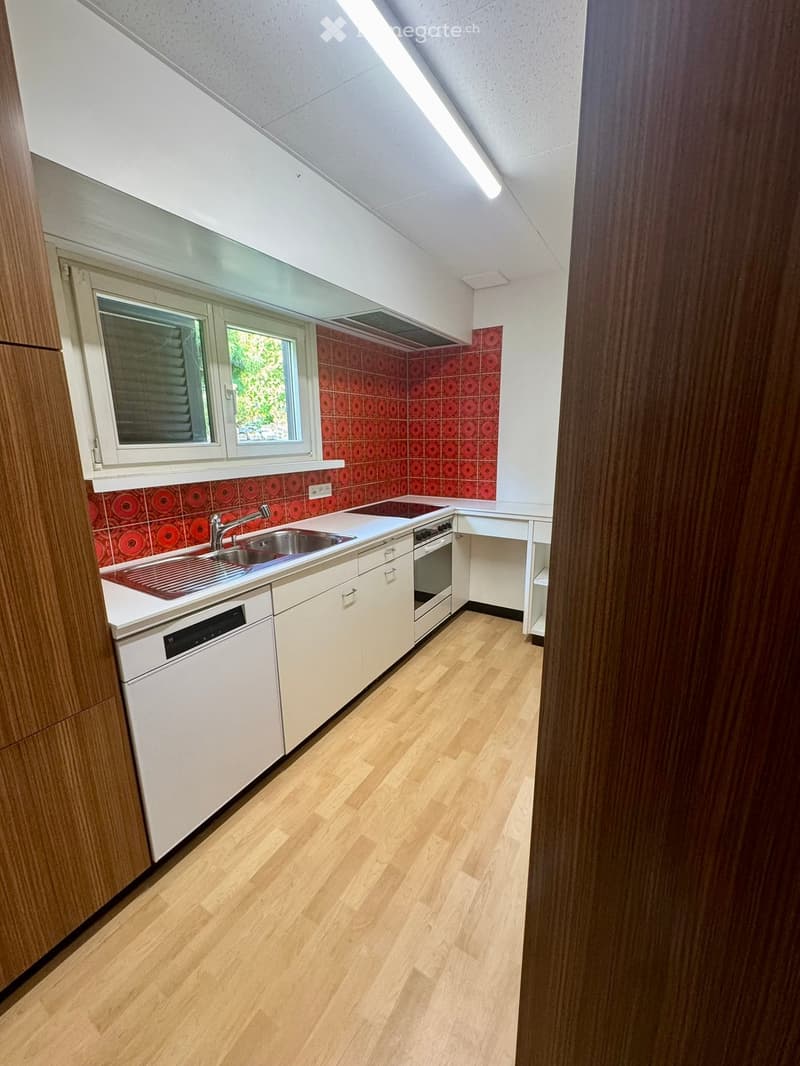 Modern kitchen with white cabinets, wooden flooring, stainless steel sink, dishwasher, and oven. Red patterned backsplash visible above the counter.