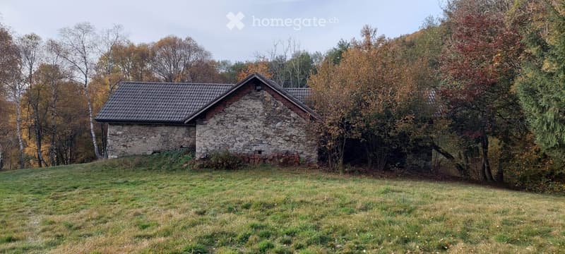 A small stone building with a pitched roof, surrounded by autumn trees and grass.