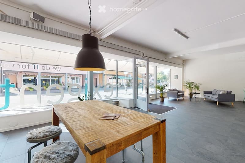 Modern, open-concept space with large windows, a wooden table, two sofas, a hanging pendant light, and potted plants.