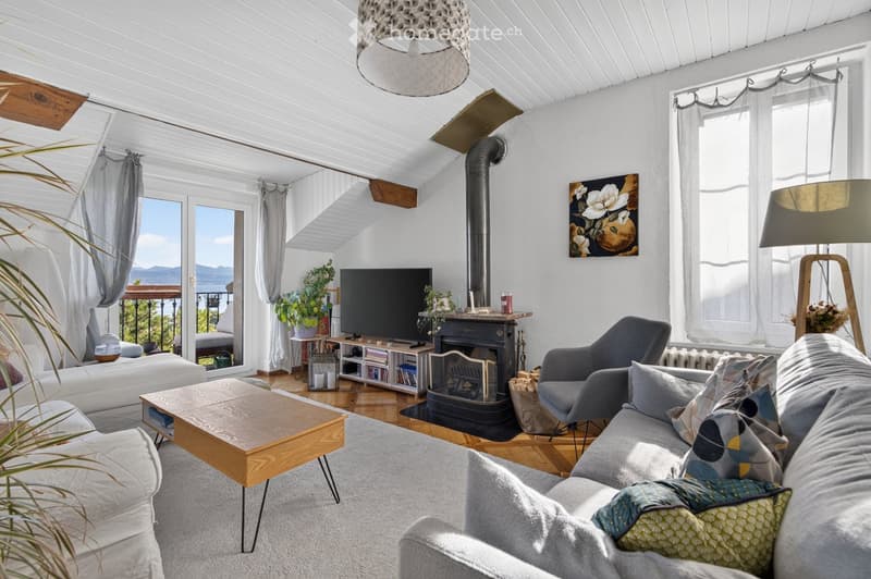 Bright living room with white walls, wooden floors, and a skylight ceiling. Features a grey sofa, wooden coffee table, armchair, TV, fireplace, and decorative plants.