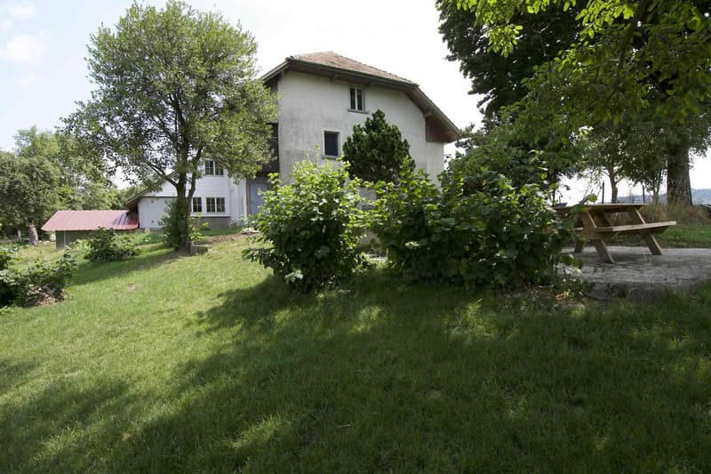 Lush green garden with a well-maintained lawn, several trees, a wooden picnic table, and a small shed in the background.