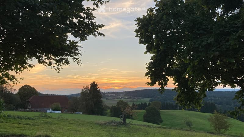 A serene countryside scene with rolling green hills, a small house with a red roof, and a beautiful sunset view through the trees.