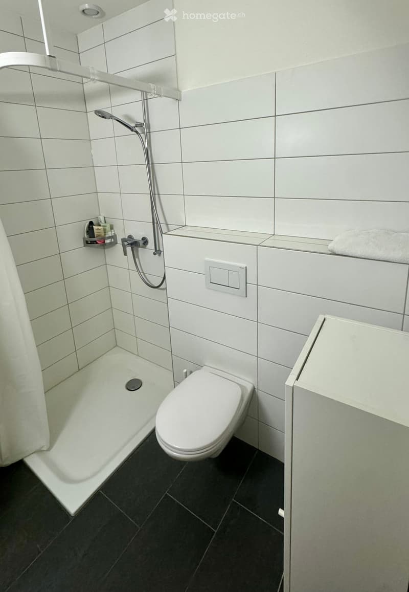 Modern bathroom with white tiles, a toilet, a shower area with a curtain, a towel on the shelf, and a small shower shelf holding toiletries.