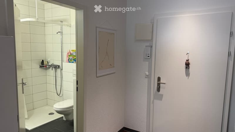 Modern bathroom with white tiled shower, toilet, framed picture on wall, and small shelf in shower area.