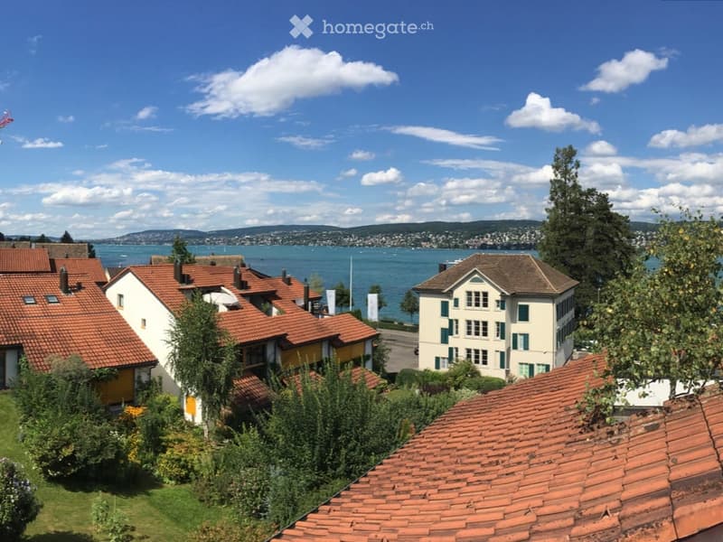 View of a residential area with multiple houses, red-tiled roofs, and a scenic lake in the background under a clear blue sky.