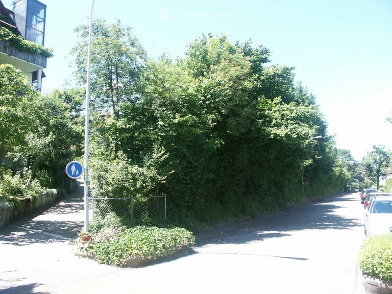 A quiet residential street lined with tall trees and greenery, with a sidewalk, street sign, and parked cars visible.