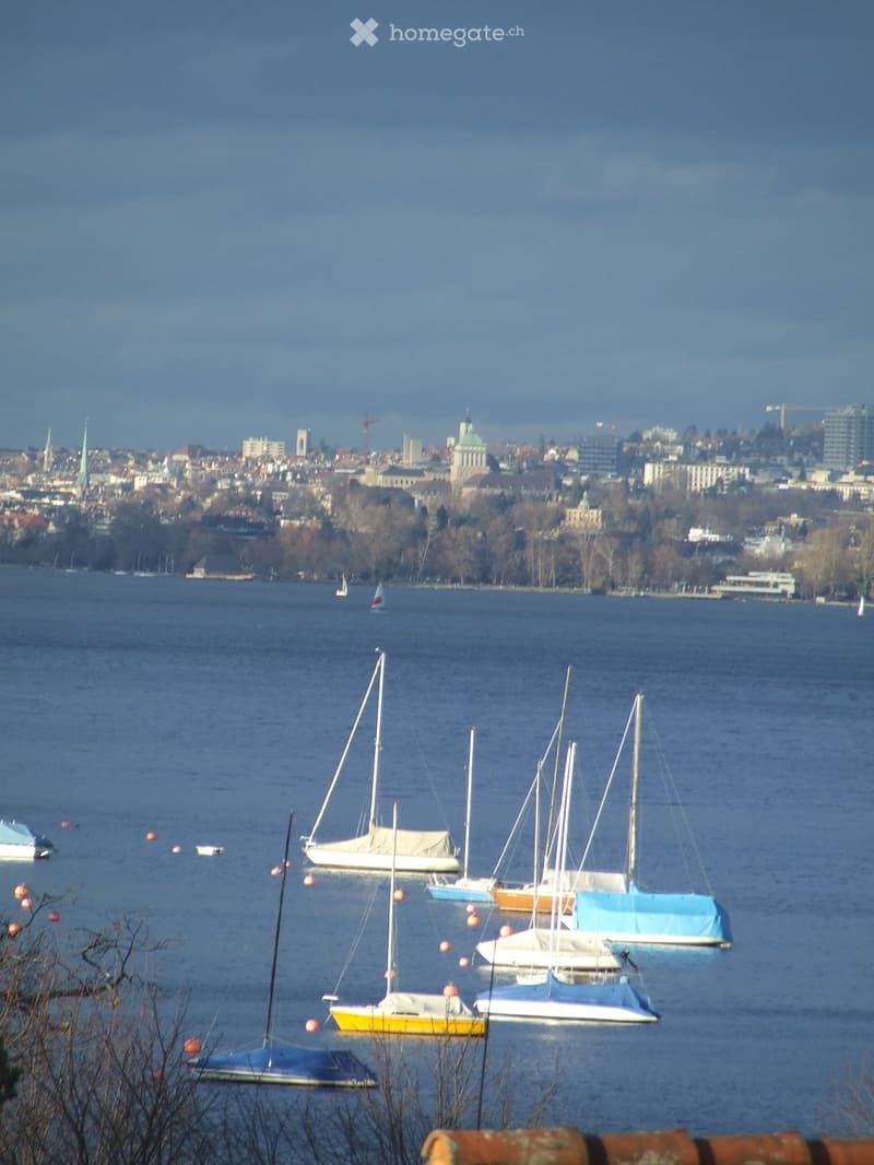 A serene waterfront scene with several sailboats anchored in calm water, surrounded by a distant cityscape with buildings and trees.