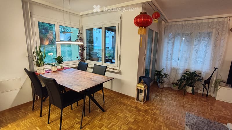 Dining room with a wooden dining table, black chairs, potted plants, a lantern, and sheer curtains.