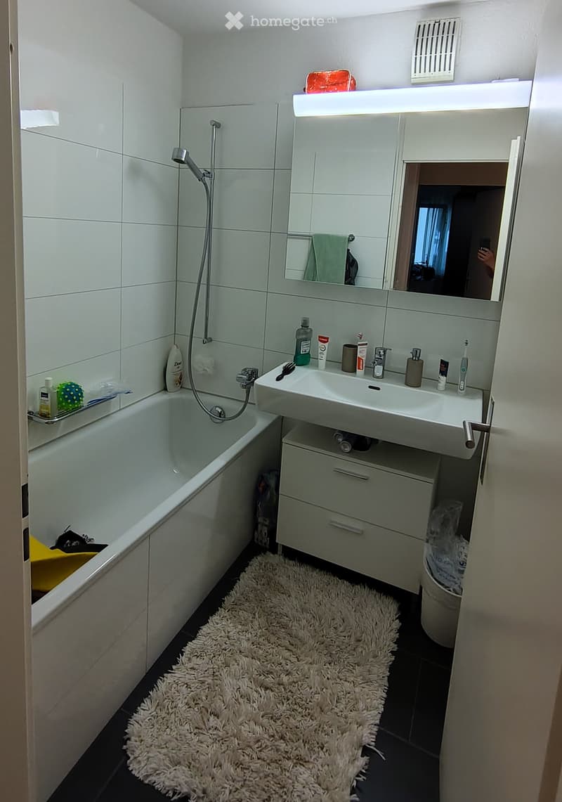 Modern bathroom with a bathtub, sink, mirror, and various toiletries. Features a fluffy white rug on the floor and a built-in cabinet under the sink.