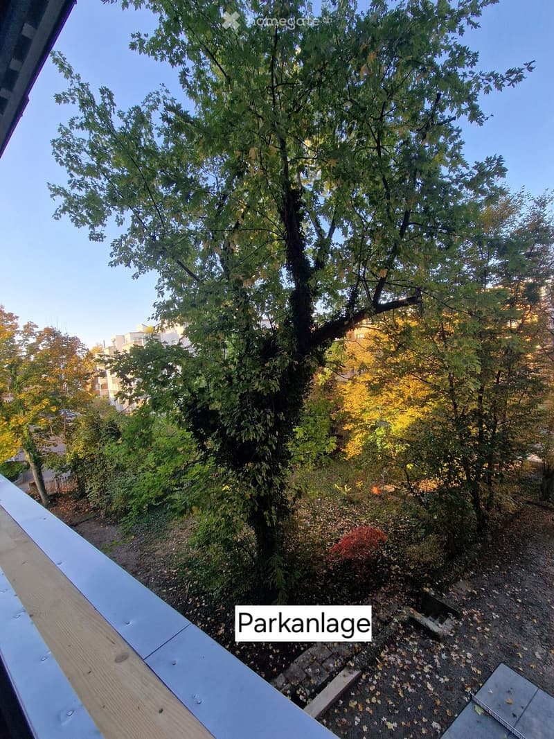 View from a balcony showing a tree-lined parking area with autumn foliage and a clear blue sky.