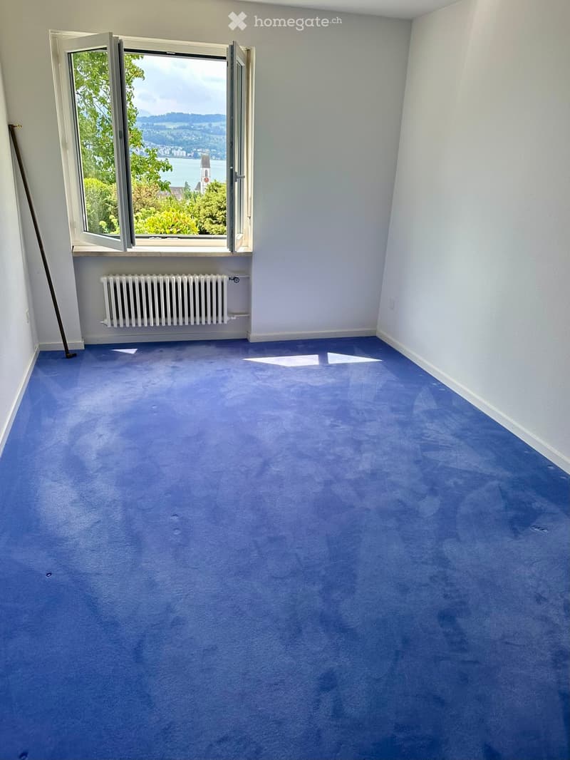 Empty room with blue carpet, white walls, large window with view, radiator, and broom leaning against wall.