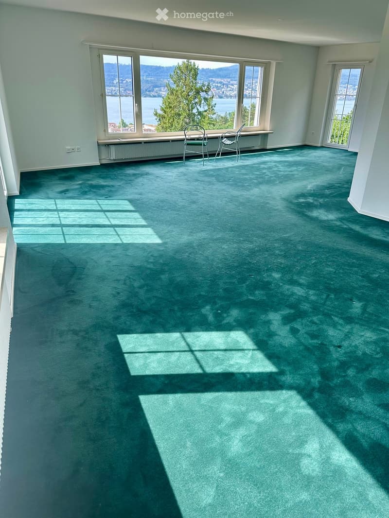 Empty room with green carpet, large windows offering scenic views, and two metal chairs near the windows.