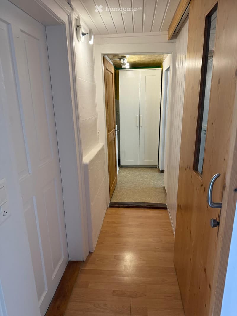 Clean, well-lit hallway with wooden flooring, white walls, and several doors, including a closet with white double doors at the end.